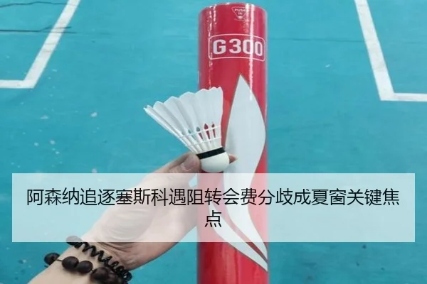 阿森纳追逐塞斯科遇阻转会费分歧成夏窗关键焦点（kaiyun）