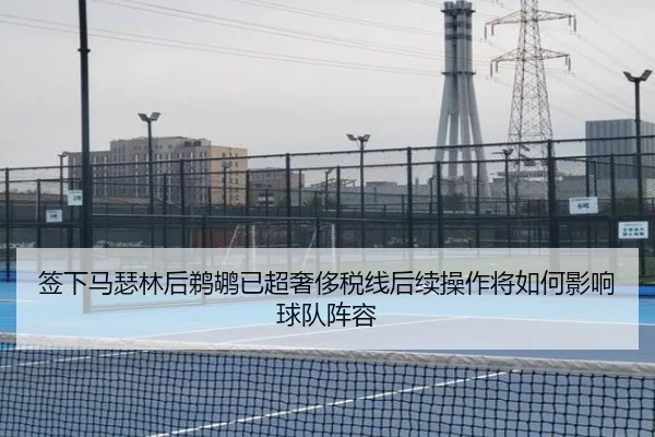 签下马瑟林后鹈鹕已超奢侈税线后续操作将如何影响球队阵容 - kaiyun